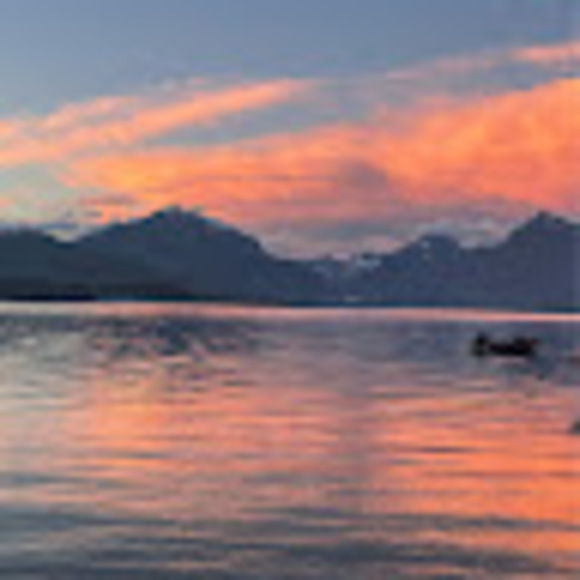 Meet your Posher, Ricky - Picture 1 of 1